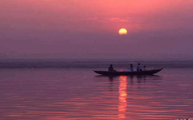 India | Maurizio Cofini