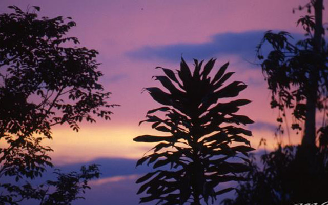Sulawesi | Maurizio Cofini